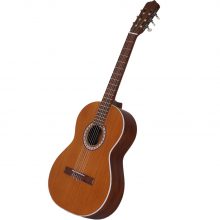 گیتار کلاسیک پارسی m5