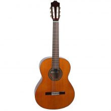 گیتار کلاسیک کوئینکا مدل ۴۵ ZIRICOTE